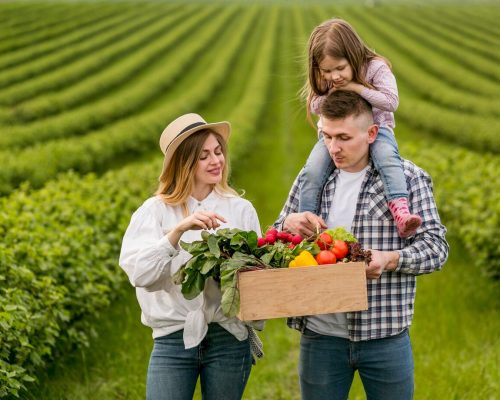 Tarım Sigortası: Çiftçiler İçin Tam Koruma Rehberi